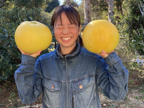ネーブルオレンジ&晩白柚【柑橘食べ比べ】