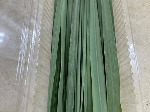 爽やか有機JAS認証レモングラス100g