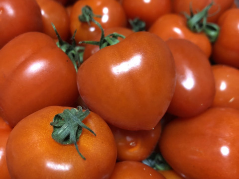 イチゴのようなハート型のトマト☆形も味も魅力的なトマトベリー