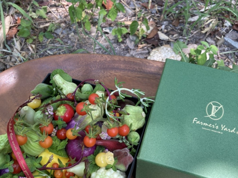 【秋ギフト】野菜ブーケ BOXタイプ【カラフルなミニ野菜】【お誕生日】【開店祝い】【周年祝い】【お供え】