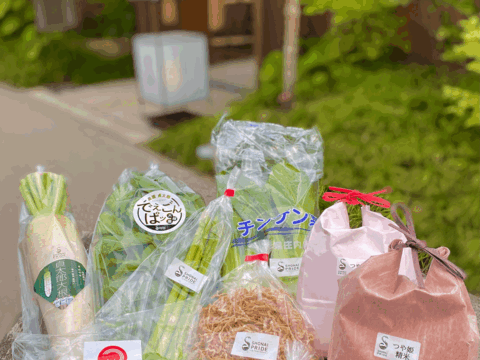 【山形庄内特産】初夏の野菜セットSサイズ〈5-6品目〉