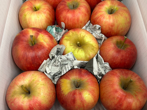 まるせい果樹園の紅玉　3ｋ　訳あり　家庭用　自家用　加工用 rk5