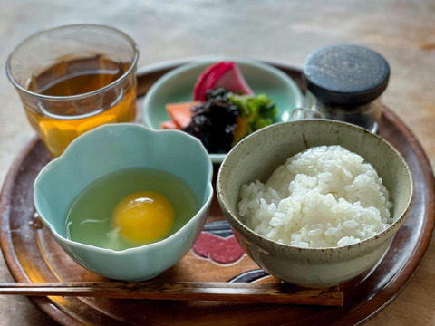 【翌日発送】平飼い放牧卵(12個)《ここだからできる最高の卵》【数量限定】