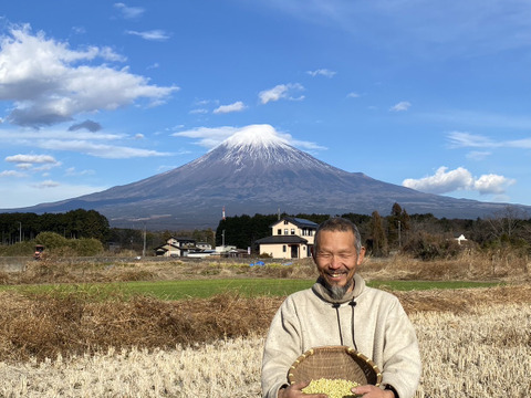自然栽培大豆3kg：静岡県産の米・穀類｜食べチョク｜産地直送