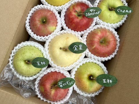 【冬ギフト】🍎5品種詰め合わせ🍎3キロ 【りんご食べ比べ】  おまかせ 商品ID171041