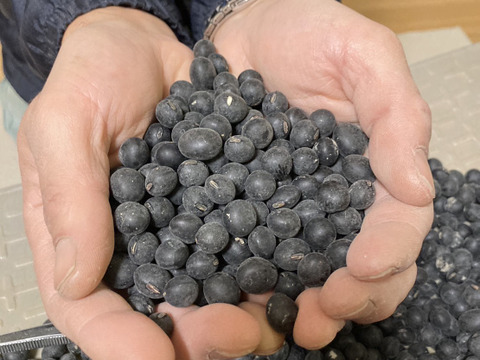 黒大豆250g＋大納言小豆　250g  丹波篠山産