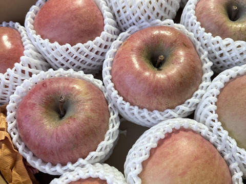 スーパーヘビー級りんご「美丘」約5k箱 「青林」約3kg箱　同梱！