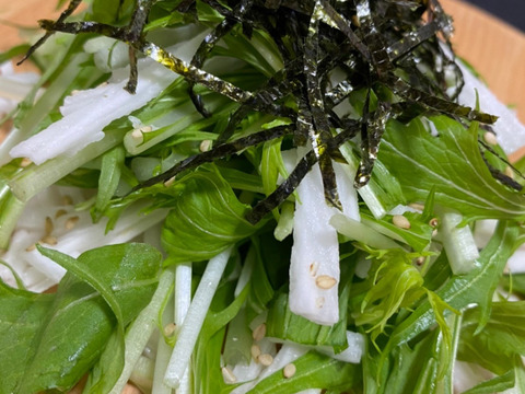 冬の健康セット 長芋とほうれん草 新潟県産の野菜 食べチョク 産地直送 産直 お取り寄せ通販 農家 漁師から旬の食材を直送