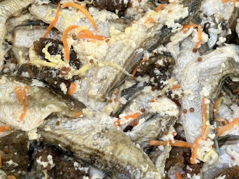 【出来たてを生発送！】漁師の嫁が作ったハタハタ寿司ぶりこ入！３パック900g