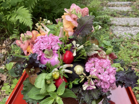 【母の日ギフト】野菜ブーケかごタイプ【メッセージカード付き】【カラフルなミニ野菜】【4/26(土)～5/18(日)お届け】