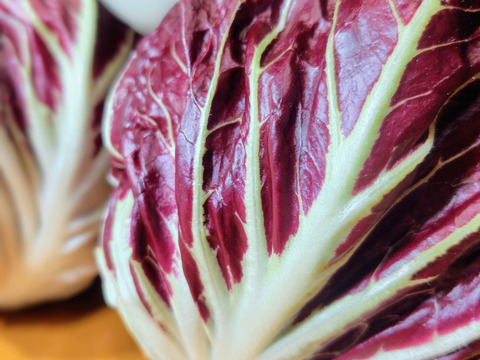 クセになるほろ苦さ！ラディッキオ（トレビス）2個