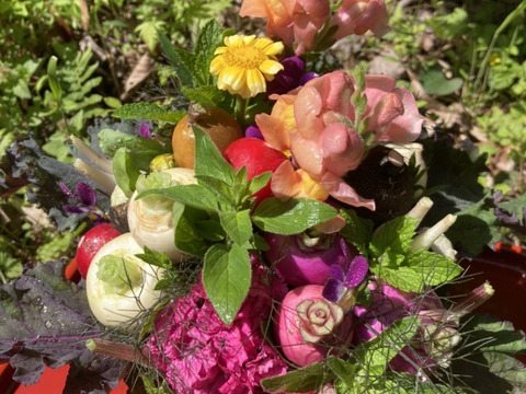 【母の日ギフト】野菜ブーケかごタイプ【メッセージカード付き】【カラフルなミニ野菜】【4/26(土)～5/18(日)お届け】