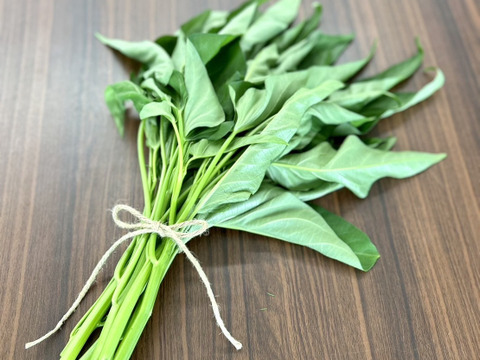 【予約販売開始】とうもろこし入り旬野菜セット（８０サイズ）