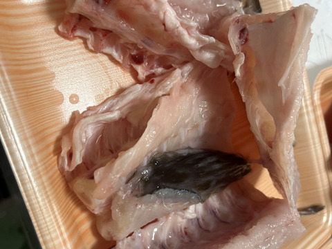 【今が旬！数量限定】　タラのあら汁用あら　(頭、カマ、ハラス)　約2ｋｇ