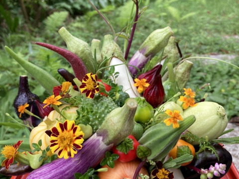 【秋ギフト】野菜ブーケかごタイプ【カラフルなミニ野菜】【お誕生日】【開店祝い】【周年祝い】【お供え】
