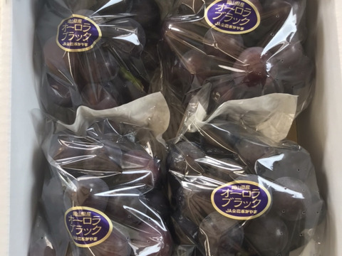 【10名様限定】多汁性が低いため果汁が流れにくく皮離れしにくいためパフェやフルーツサンドにもってこい！程よい酸味で糖度20度前後！　（色薄）