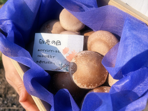 しいたけ 茶撰 110g - 日本橋 八木長本店