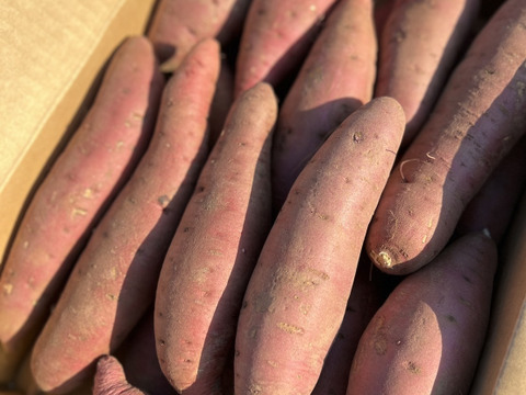 【ねっとり】【熟成】山形県酒田市産　さつまいも10Kg【お買い得】【紅はるか】