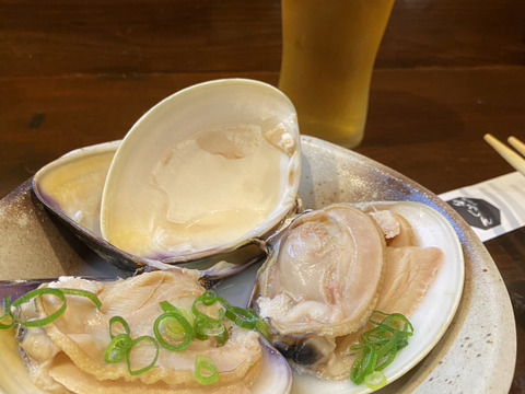 日間賀島産:三河湾，伊勢湾【島漁師おまかせ貝BOX】小
