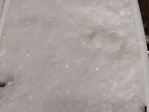 北海道産ブロッコリー　氷詰め・12玉