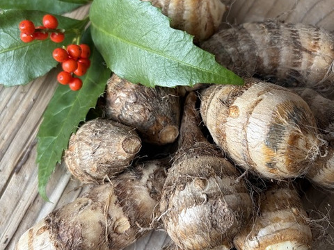 京都伝統野菜  小さい海老芋＆こえびちゃん合計１K＆ちいさなちいさなこえびちゃん300gセット