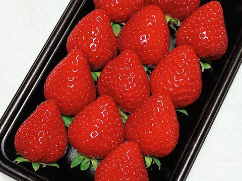 【完熟・大玉】真っ赤で芳醇な甘さ『さちのか』（250g×2パック）