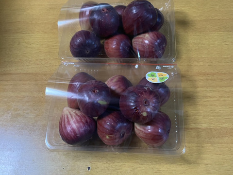 片桐いちじく（桝井ドーフィン）　露地栽培　農薬不使用　予約販売　順次配送