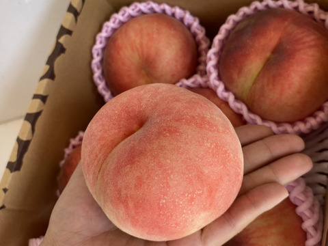 硬め食感高糖度‼️山形県産 陽夏妃【2キロ小玉】