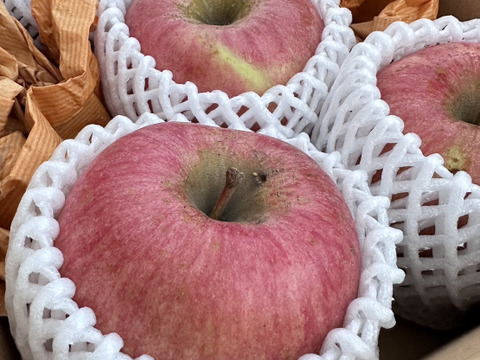 スーパーヘビー級りんご「美丘」約5k箱 「青林」約3kg箱　同梱！