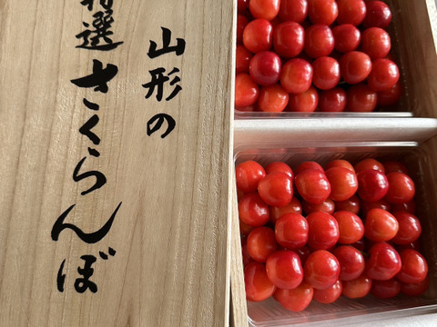 【 やまがた紅王:急遽の一粒 】【 5箱限定 】山形県天童産 さくらんぼ 木箱 贈答