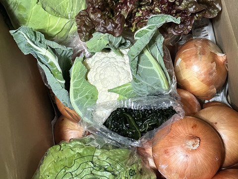 大好評，地層が違う淡路島、大玉ターザン(風袋込み１０キロ)