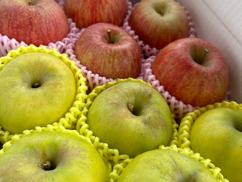 まるせい果樹園のサンふじ,パインアップルと青林の詰め合わせ　3㌔箱　贈答用　自家用　家庭用 rs5