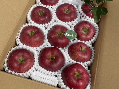 🍎希少品種🍎【スターキング】家庭用約3キロ9～15玉 ID167296