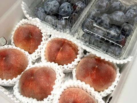 【お中元】国産生プルーンと桃の詰め合わせ3kg箱