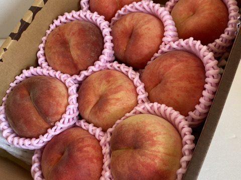 硬め食感高糖度‼️山形県産 陽夏妃【2キロ小玉】