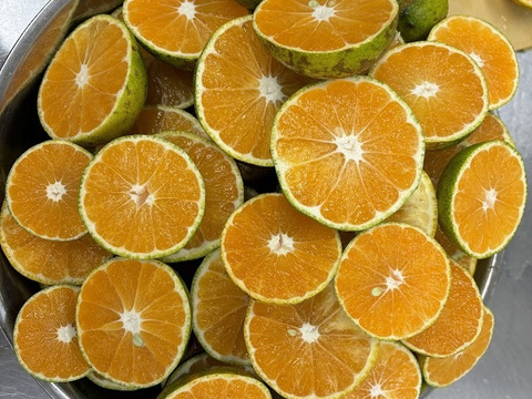 ＜期間限定＞摘果たんかん　5kg／料理・ドリンク・加工用に最適！