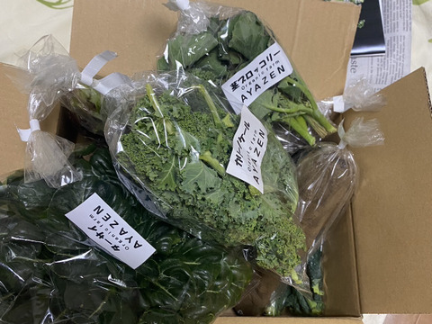 【初回限定BOX】【千葉県松戸市産】綾善のお野菜セット　お試し8品