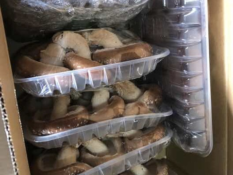 原木栽培生椎茸 約700g