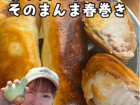 【予約】生産農家直送 淡路島産ブランド新玉ねぎ 『にじたま』超極早生品種 9kgダンボール入り（ご家庭用・30個前後） 使いやすいM・L・2L混在！≪水分量No1!!≫◎特別栽培　2月末頃から順次発送