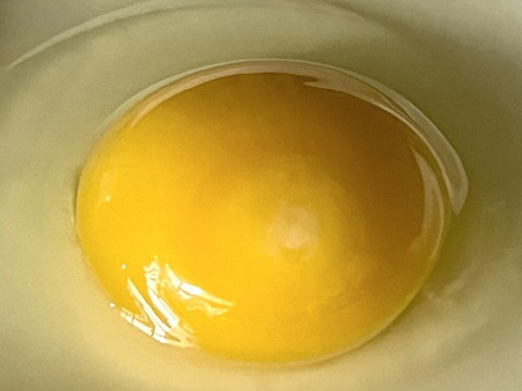 いろいろ卵食べ比べ8個セット
