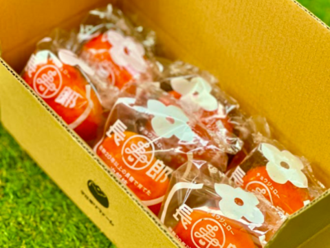 11/10〜順次発送【家庭用】長生き次郎柿『長寿郎（ちょうじゅろう）』5～6玉入り　鮮度保持フィルム個包装タイプ