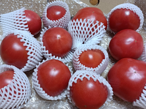 【余韻の旨さ】 完全完熟トマト 約2kg 約10〜20個入り🍅  【母の日ギフト】