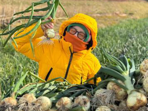 【予約】生産農家直送 淡路島産ブランド新玉ねぎ 『にじたま』超極早生品種 9kgダンボール入り（ご家庭用・30個前後） 使いやすいM・L・2L混在！≪水分量No1!!≫◎特別栽培　2月末頃から順次発送