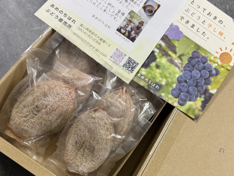 5L約1kg[ご家庭用お買得！]超特大の干し柿のセット[10個]