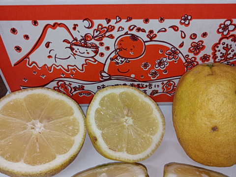 【農薬不使用】レモン3kg(9個～12個)　和歌山県産　サイズ混合 等級混合B級品 即日発送