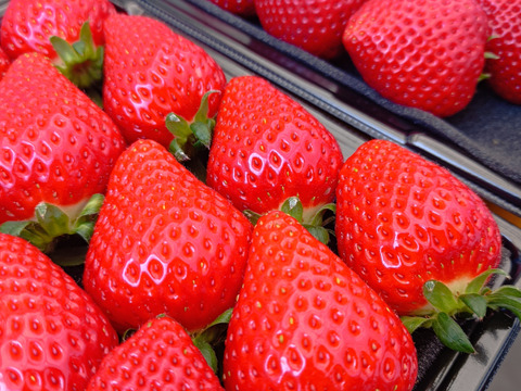 埼玉いちご「べにたま」食べ比べセット270ｇ×2ｐ