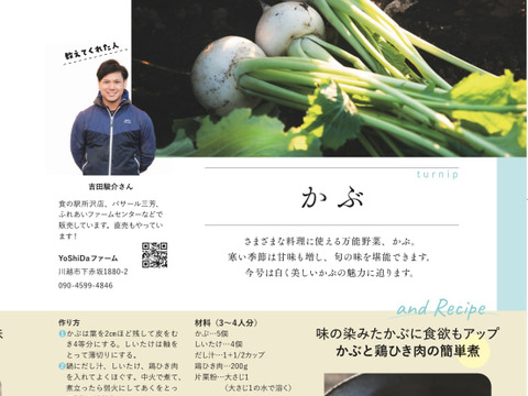 石井食品おまけ付　多数メディア出演！「彩の国のかぶ」約3kg　川越市品評会特別賞受賞