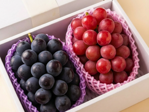 不揃い いろいろな葡萄セット 2~3房1.2kg ＃食べ比べ