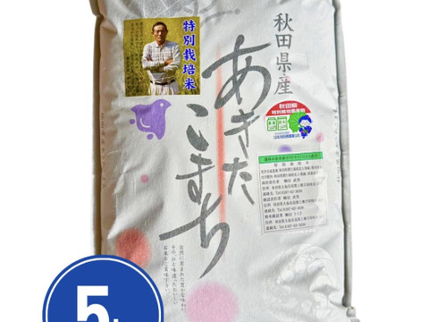 必ず安い 新米 10kg 白米 令和6年産 あきたこまち10％ 茨城県産