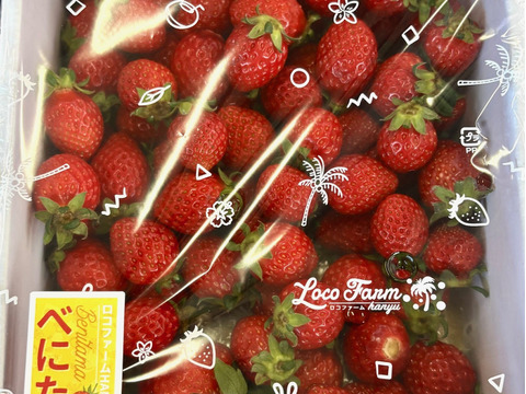 【訳あり！】べにたま大容量６５０ｇ以上